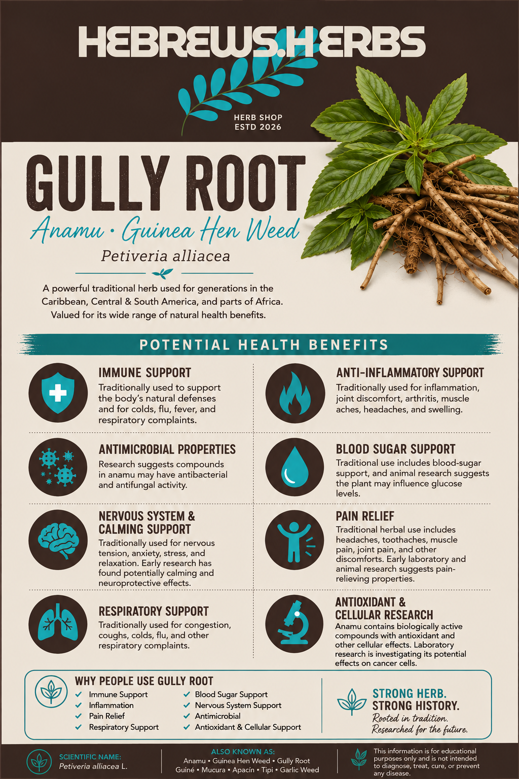 GULLY ROOT 1oz