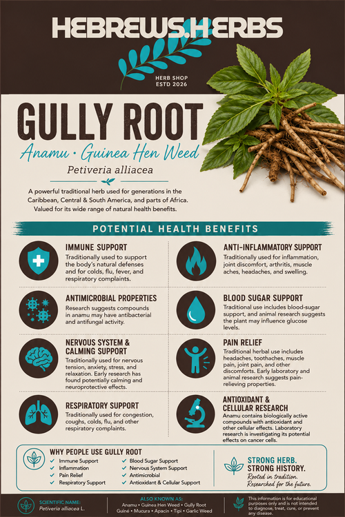 GULLY ROOT 1oz